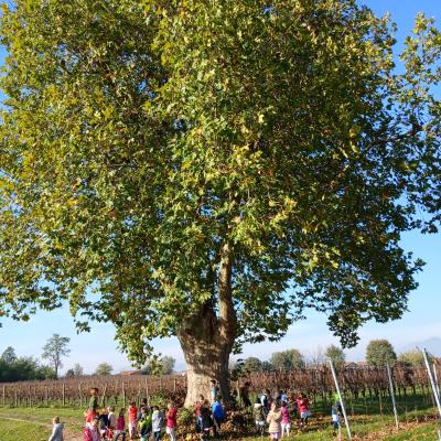Fondazione Fava 2024 25 13