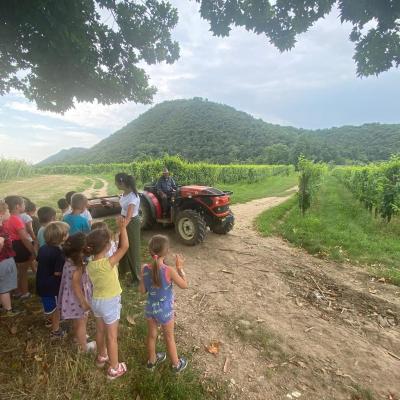 Fondazione Fava 2024 25 23