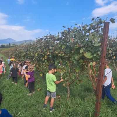 Fondazione Fava 2024 25 30