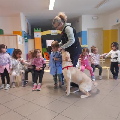 Fondazione Fava 2024 25 54