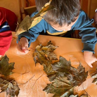 Materna E Nido Zocco Erbusco 27