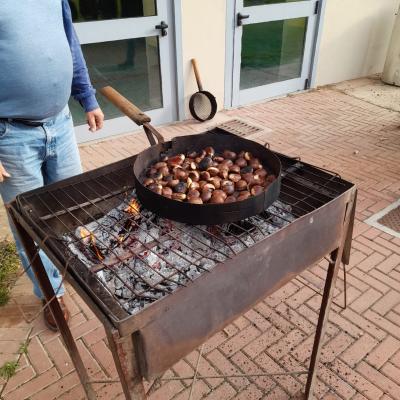 Materna E Nido Zocco Erbusco 62